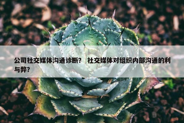 公司社交媒体沟通诊断？ 社交媒体对组织内部沟通的利与弊？