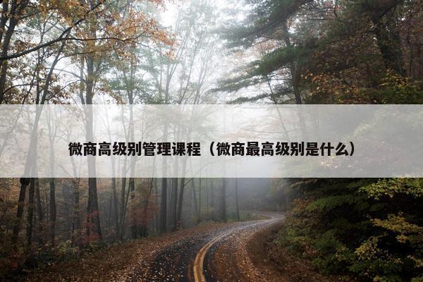 微商高级别管理课程（微商最高级别是什么）