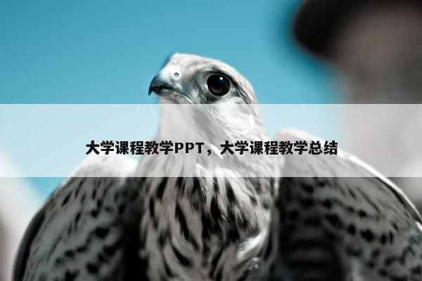 大学课程教学PPT，大学课程教学总结