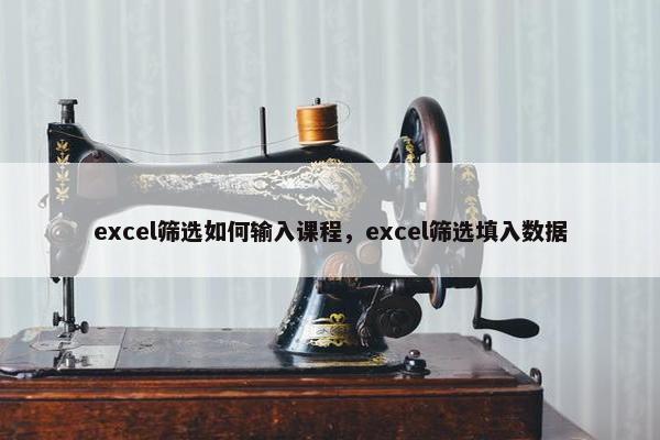 excel筛选如何输入课程，excel筛选填入数据