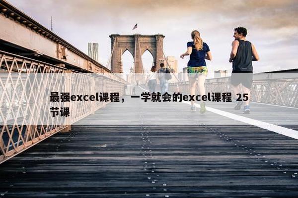 最强excel课程，一学就会的excel课程 25节课