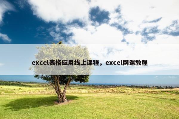 excel表格应用线上课程，excel网课教程