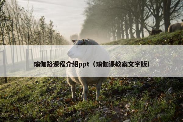 瑜伽路课程介绍ppt（瑜伽课教案文字版）
