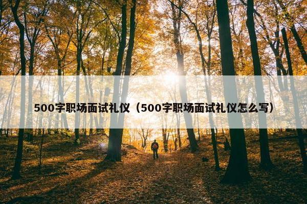 500字职场面试礼仪（500字职场面试礼仪怎么写）