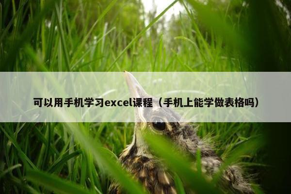 可以用手机学习excel课程（手机上能学做表格吗）