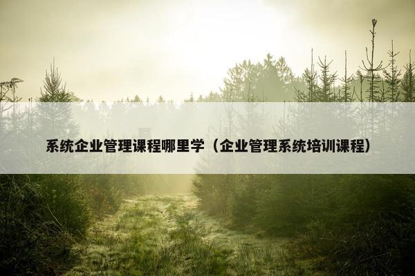 系统企业管理课程哪里学（企业管理系统培训课程）