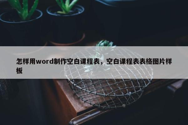 怎样用word制作空白课程表，空白课程表表格图片样板