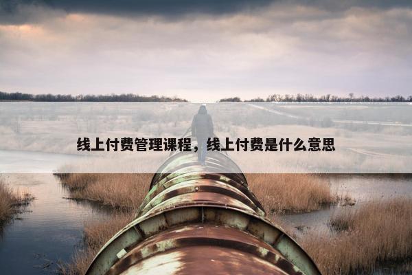 线上付费管理课程，线上付费是什么意思