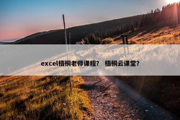 excel梧桐老师课程？ 梧桐云课堂？