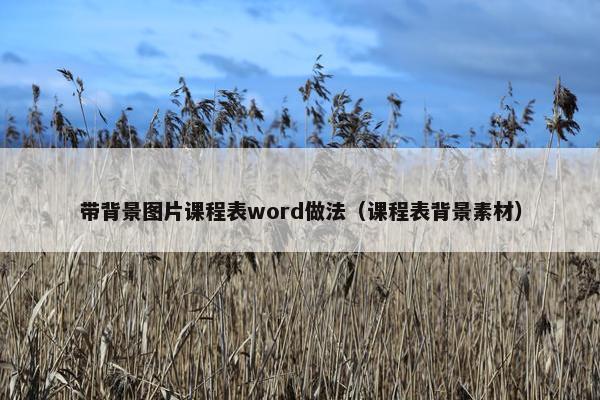 带背景图片课程表word做法（课程表背景素材）