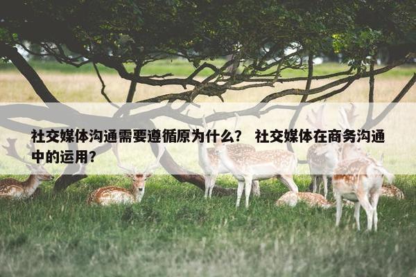 社交媒体沟通需要遵循原为什么？ 社交媒体在商务沟通中的运用？