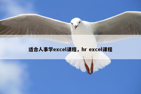 适合人事学excel课程，hr excel课程