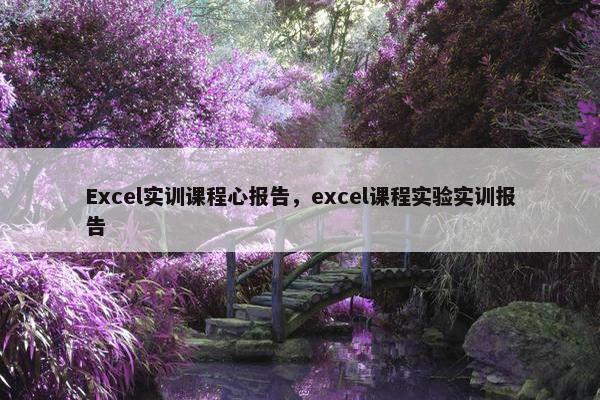 Excel实训课程心报告，excel课程实验实训报告