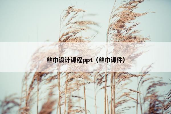 丝巾设计课程ppt（丝巾课件）