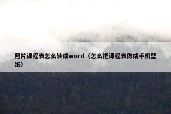 照片课程表怎么转成word（怎么把课程表做成手机壁纸）