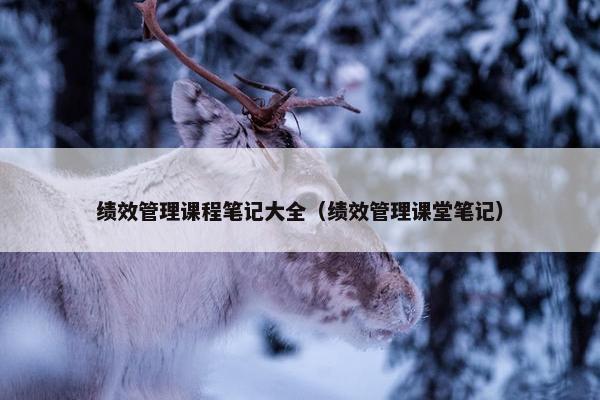 绩效管理课程笔记大全（绩效管理课堂笔记）