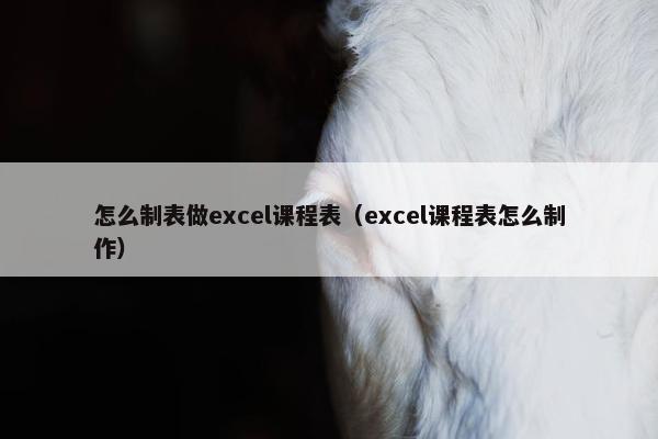 怎么制表做excel课程表（excel课程表怎么制作）