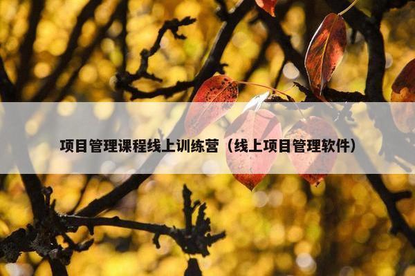项目管理课程线上训练营（线上项目管理软件）