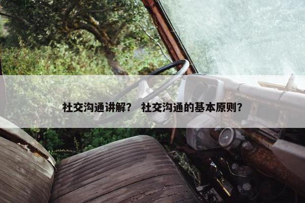 社交沟通讲解？ 社交沟通的基本原则？
