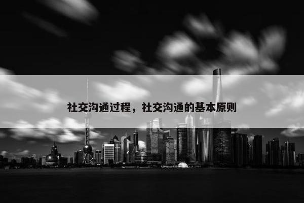 社交沟通过程，社交沟通的基本原则