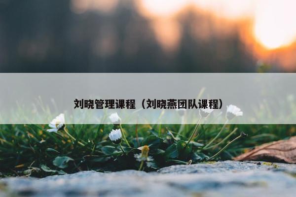 刘晓管理课程（刘晓燕团队课程）