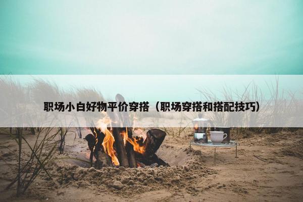 职场小白好物平价穿搭（职场穿搭和搭配技巧）