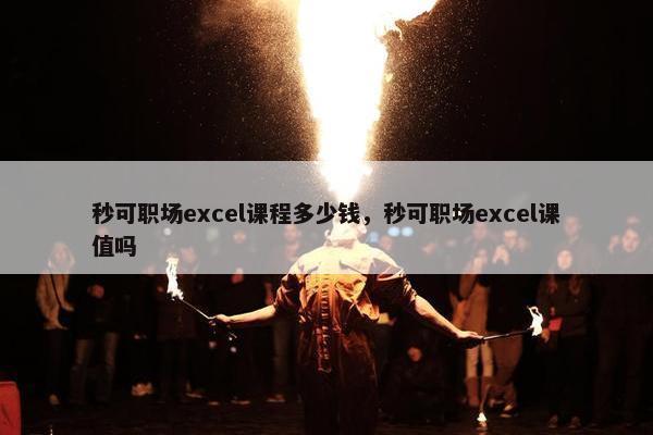 秒可职场excel课程多少钱，秒可职场excel课值吗