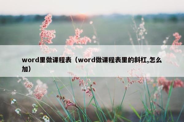word里做课程表（word做课程表里的斜杠,怎么加）