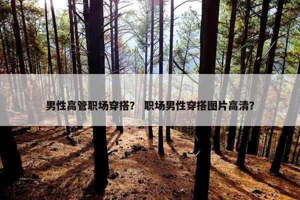男性高管职场穿搭？ 职场男性穿搭图片高清？