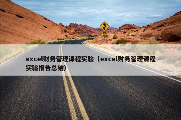 excel财务管理课程实验（excel财务管理课程实验报告总结）