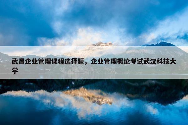 武昌企业管理课程选择题，企业管理概论考试武汉科技大学