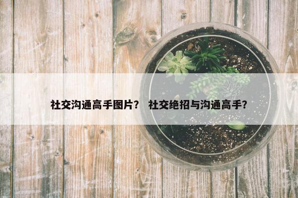 社交沟通高手图片？ 社交绝招与沟通高手？