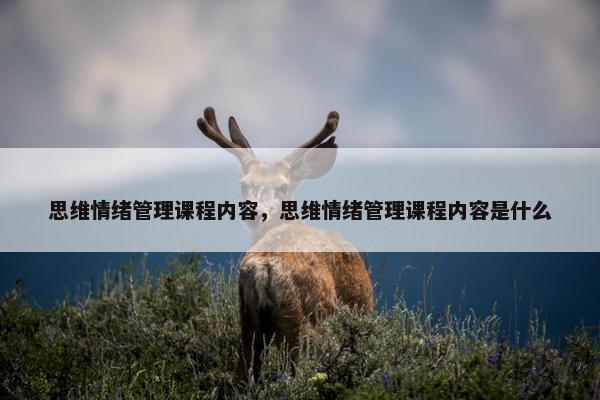 思维情绪管理课程内容，思维情绪管理课程内容是什么