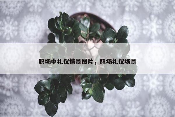 职场中礼仪情景图片，职场礼仪场景