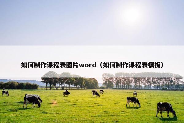 如何制作课程表图片word（如何制作课程表模板）