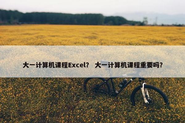 大一计算机课程Excel？ 大一计算机课程重要吗？