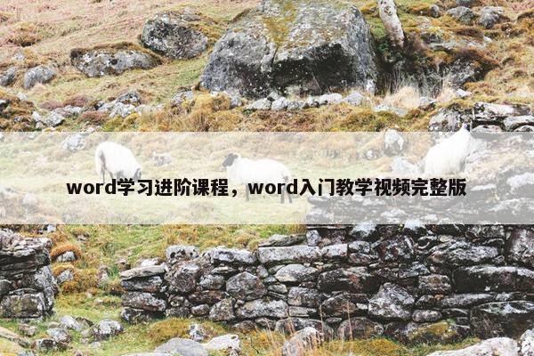 word学习进阶课程，word入门教学视频完整版