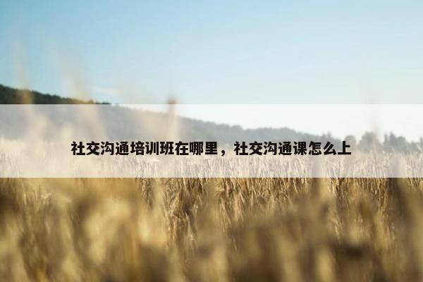 社交沟通培训班在哪里，社交沟通课怎么上