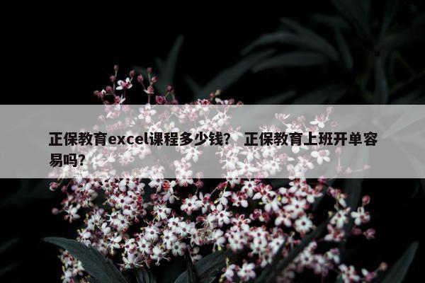 正保教育excel课程多少钱？ 正保教育上班开单容易吗？