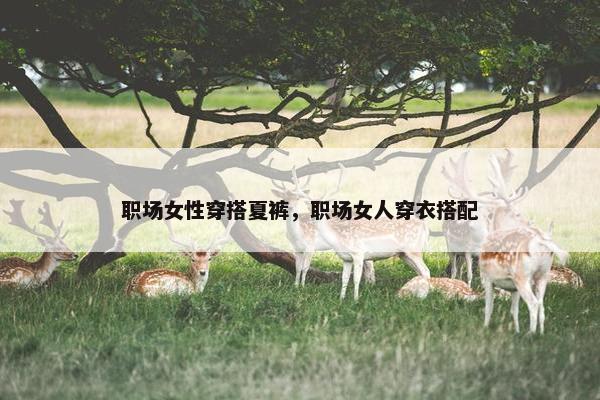 职场女性穿搭夏裤，职场女人穿衣搭配