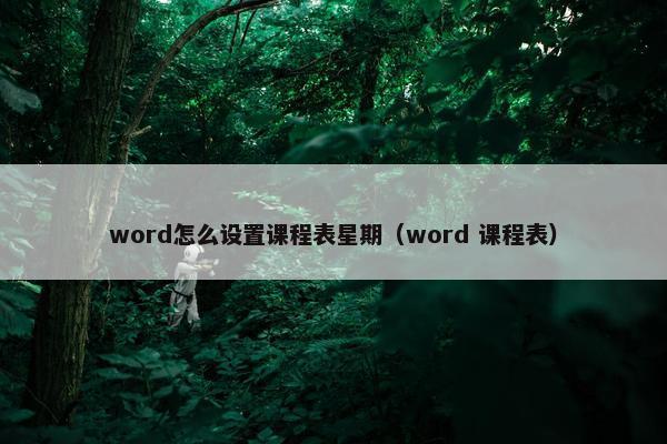 word怎么设置课程表星期（word 课程表）