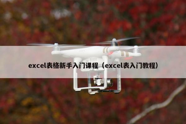 excel表格新手入门课程（excel表入门教程）