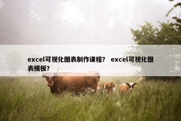 excel可视化图表制作课程？ excel可视化图表模板？