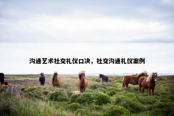 沟通艺术社交礼仪口决，社交沟通礼仪案例