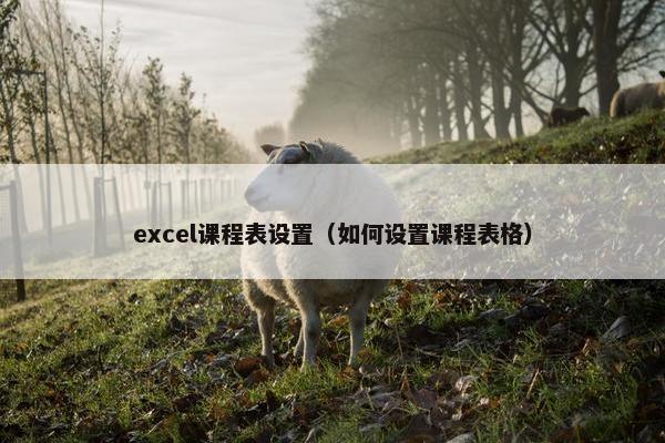 excel课程表设置（如何设置课程表格）
