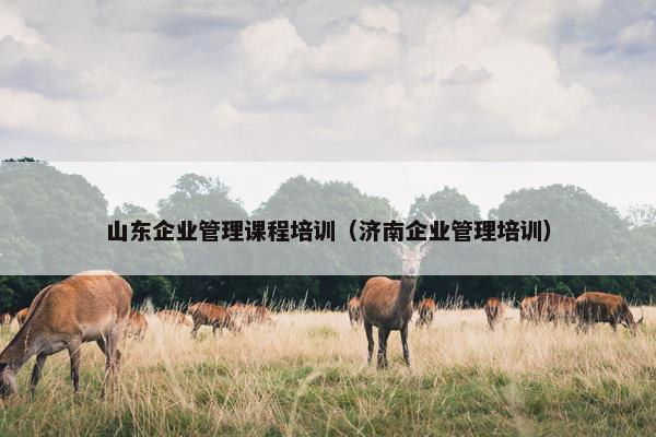山东企业管理课程培训（济南企业管理培训）