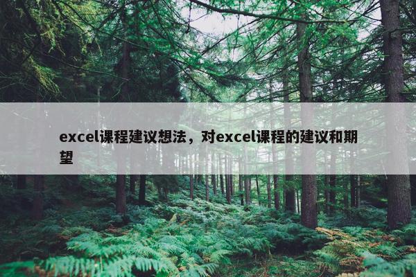 excel课程建议想法，对excel课程的建议和期望