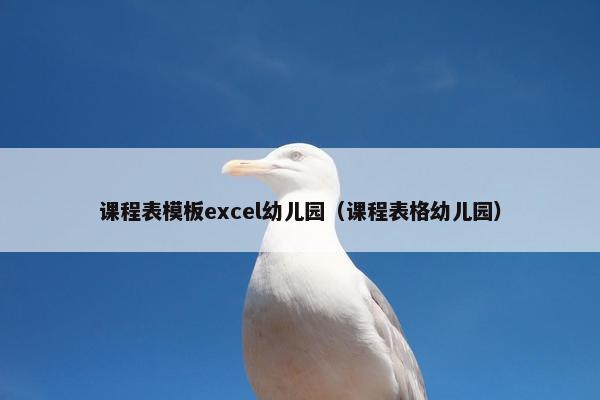 课程表模板excel幼儿园（课程表格幼儿园）