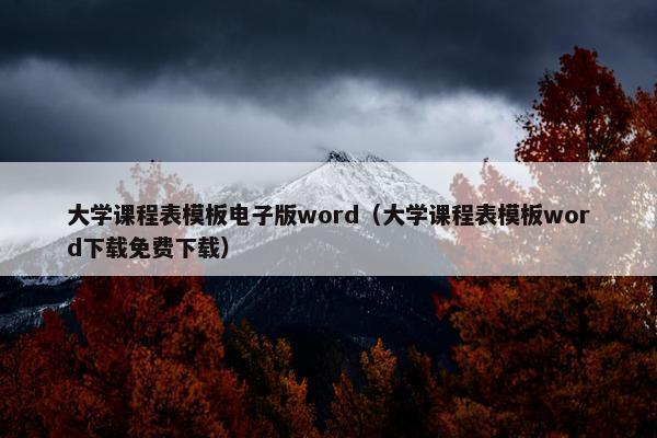 大学课程表模板电子版word（大学课程表模板word下载免费下载）