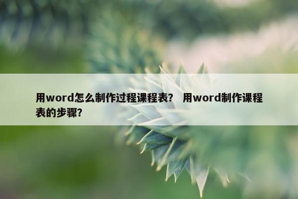 用word怎么制作过程课程表？ 用word制作课程表的步骤？
